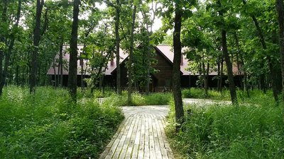 🎨 나카사츠나이 미술촌 이미지 2